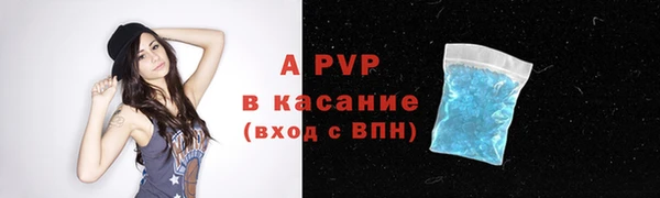 тгк Мурманск